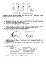 Konspekts 'Bērnu cerebrālā trieka', 15.