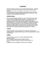 Konspekts 'Askaridoze, trihineloze, amebiāze', 4.