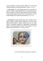 Referāts 'Porcelāns un fajanss', 6.