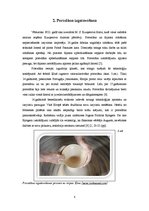 Referāts 'Porcelāns un fajanss', 8.