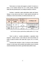 Referāts 'Porcelāns un fajanss', 15.