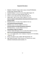 Referāts 'Porcelāns un fajanss', 18.