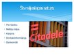 Prezentācija 'Citadele', 2.