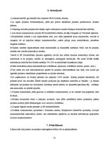 Referāts 'Eiropas fondi', 22.