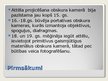 Prezentācija 'Fotogrāfijas attīstība', 2.