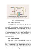 Referāts 'Ventilācijas sistēmas', 13.