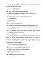 Referāts 'Individuālais komersants, personālsabiedrības un kapitālsabiedrības', 34.