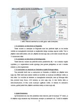 Referāts 'Projekta "Nord Stream" iespējamie ieguvumi un zaudējumi Eiropai', 6.