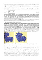 Konspekts 'Enzīmi', 5.