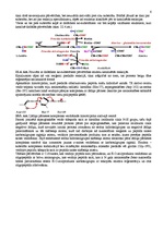 Konspekts 'Enzīmi', 6.