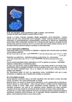 Konspekts 'Enzīmi', 15.