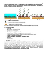 Konspekts 'Enzīmi', 22.