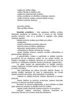 Konspekts 'Revīzija', 6.