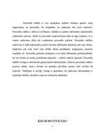 Referāts 'Motivācija policijas darbā', 3.