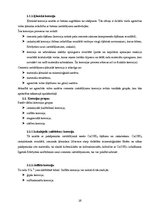 Diplomdarbs 'Betona virsmu aizsardzības metožu efektivitātes analīze (gājēju pārvada pār Kārļ', 16.