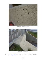 Diplomdarbs 'Betona virsmu aizsardzības metožu efektivitātes analīze (gājēju pārvada pār Kārļ', 30.