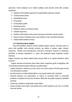 Diplomdarbs 'Betona virsmu aizsardzības metožu efektivitātes analīze (gājēju pārvada pār Kārļ', 67.