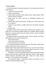 Diplomdarbs 'Betona virsmu aizsardzības metožu efektivitātes analīze (gājēju pārvada pār Kārļ', 125.