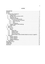 Referāts 'Latvijas reģionālo augstskolu vizuālās identitātes elementu saistība ar studentu', 4.