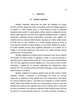 Referāts 'Latvijas reģionālo augstskolu vizuālās identitātes elementu saistība ar studentu', 26.
