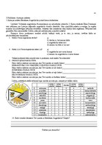 Referāts 'Latvijas reģionālo augstskolu vizuālās identitātes elementu saistība ar studentu', 41.