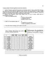 Referāts 'Latvijas reģionālo augstskolu vizuālās identitātes elementu saistība ar studentu', 42.