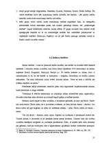 Referāts 'Tiesību sistēmas', 21.