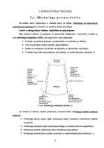 Referāts 'SIA "BAF Ltd" mārketinga darbības analīze', 13.