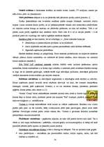 Referāts 'SIA "BAF Ltd" mārketinga darbības analīze', 24.