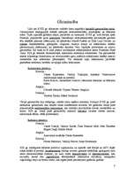 Referāts 'Senās civilizācijas', 8.