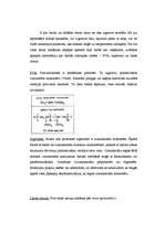 Referāts 'Līme', 6.