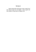 Referāts 'Līme', 13.