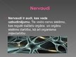 Prezentācija 'Dzīvnieku nervaudi', 2.