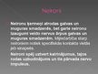 Prezentācija 'Dzīvnieku nervaudi', 4.