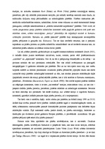 Konspekts 'Dženifera Robinsone "Pilsētu pasaule"', 2.