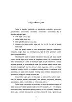 Referāts 'Ziepes', 3.