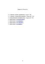 Referāts 'Ziepes', 10.