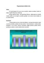 Referāts 'A/S Latvijas Balzams', 11.