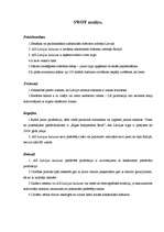 Referāts 'A/S Latvijas Balzams', 17.