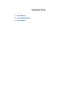 Referāts 'A/S Latvijas Balzams', 19.