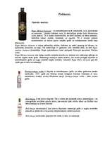 Referāts 'A/S Latvijas Balzams', 20.