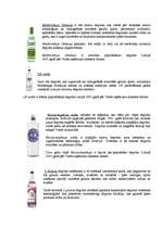 Referāts 'A/S Latvijas Balzams', 21.