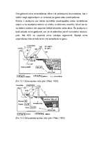 Referāts 'Smago metālu piesārņojums', 6.