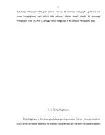 Referāts 'Obligācijas un to cenas aprēķināšana', 12.