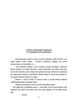 Referāts 'Madonas rajona padomes Vidzemes Reģionālā tūrisma informācijas centra darbības a', 11.