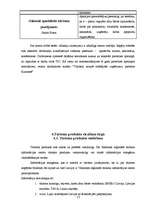 Referāts 'Madonas rajona padomes Vidzemes Reģionālā tūrisma informācijas centra darbības a', 15.