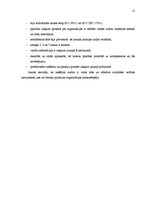 Referāts 'Atbilstības novērtēšana. Iekšējais audits uzņēmumā', 12.
