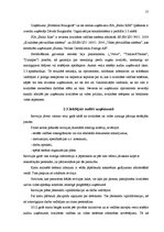 Referāts 'Atbilstības novērtēšana. Iekšējais audits uzņēmumā', 17.