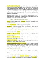 Konspekts 'Bezmugurkaulnieki', 3.