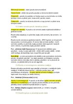 Konspekts 'Bezmugurkaulnieki', 5.